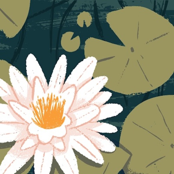 Meet your Posher, Aliya - Picture 1 of 1